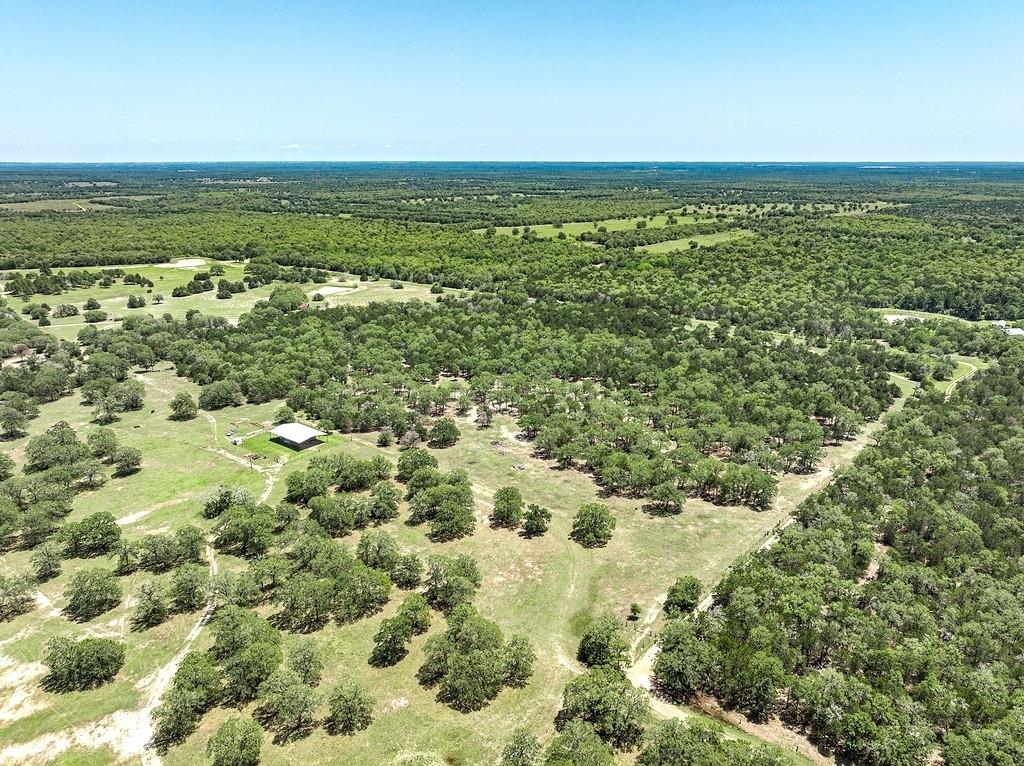4638 Red Hollow Lane, Smithville, Texas image 4