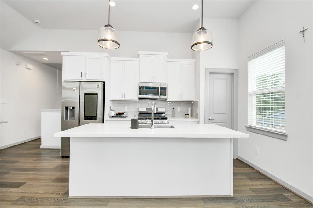 829 N Emile Street, Houston, Texas image 22