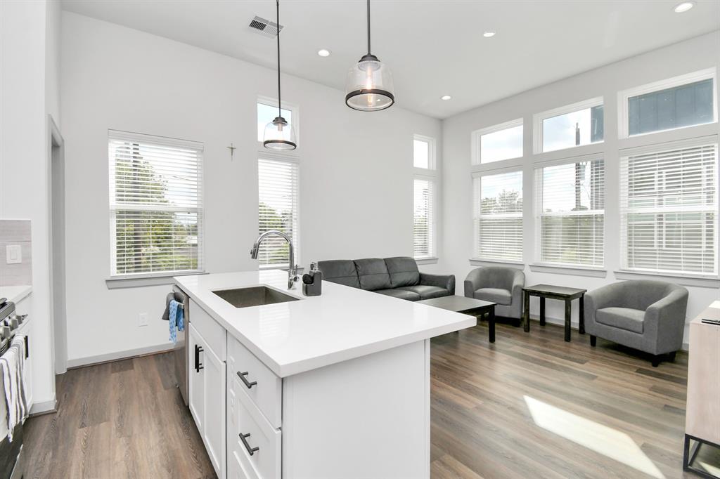 829 N Emile Street, Houston, Texas image 20