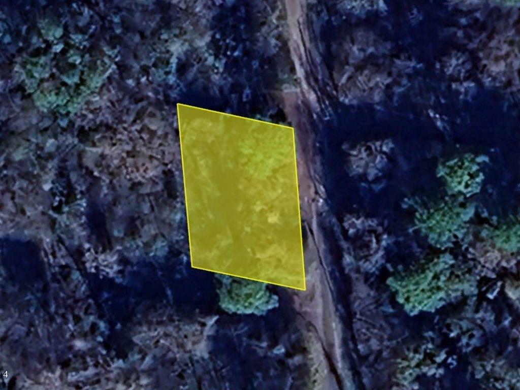 000 Oak Tree Road, Huntsville, Texas image 1