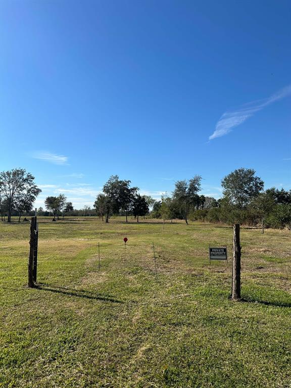 Duchess Lane, Alvin, Texas image 6