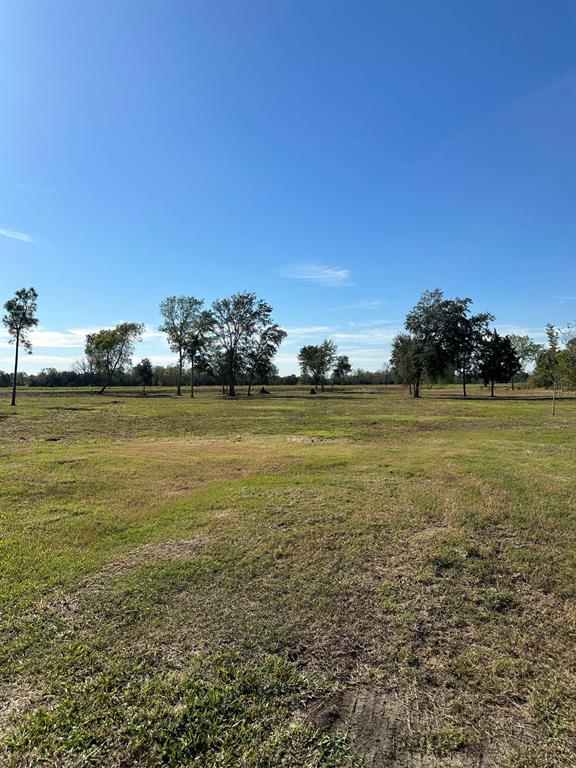 Duchess Lane, Alvin, Texas image 8