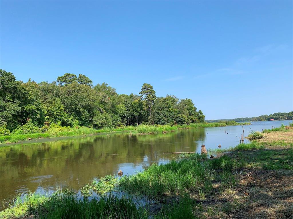 3196 Shadow Pine Drive, Larue, Texas image 9