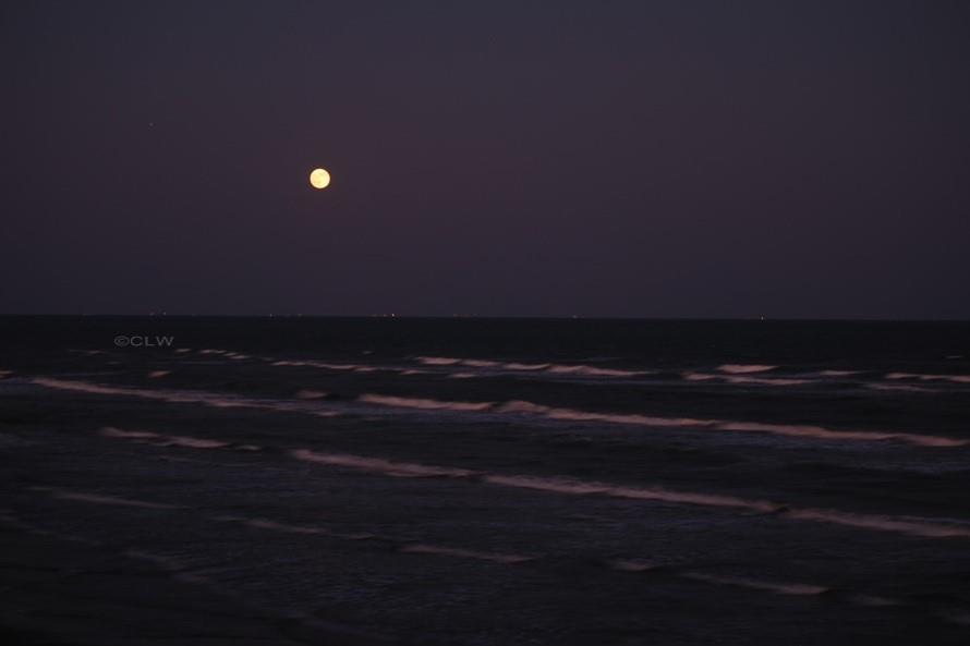 11945 Termini San Luis Pass Road #205, Galveston, Texas image 32