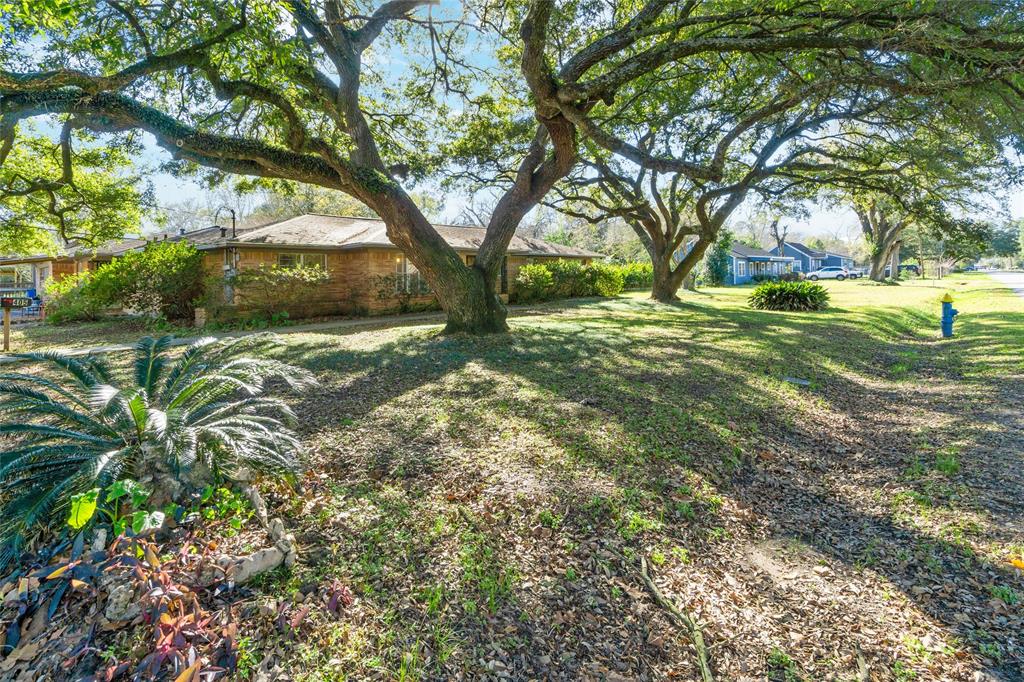 405 Hohldale Street, Houston, Texas image 24