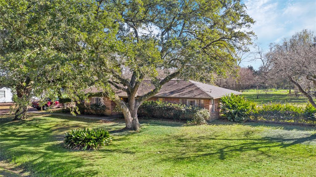 405 Hohldale Street, Houston, Texas image 23
