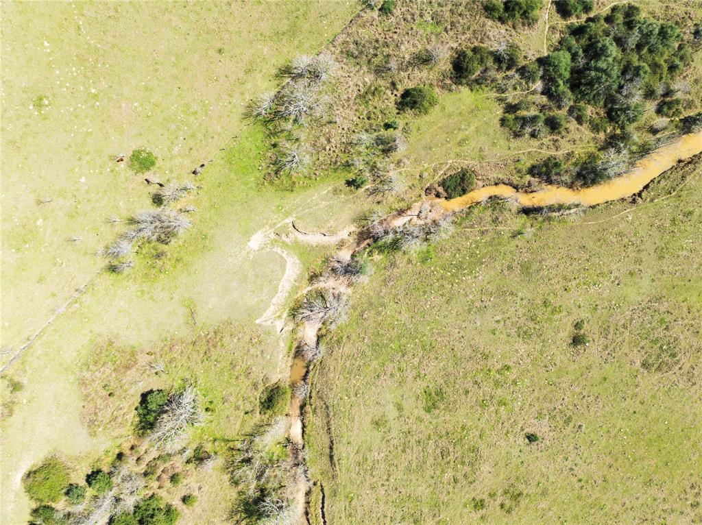 Bernardo Road, Cat Spring, Texas image 14