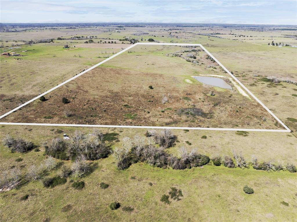Bernardo Road, Cat Spring, Texas image 6