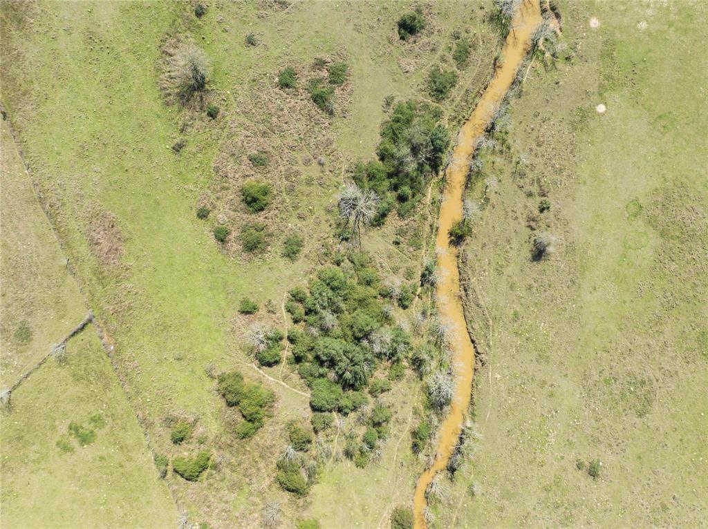 Bernardo Road, Cat Spring, Texas image 13