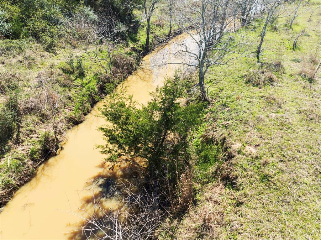 Bernardo Road, Cat Spring, Texas image 12