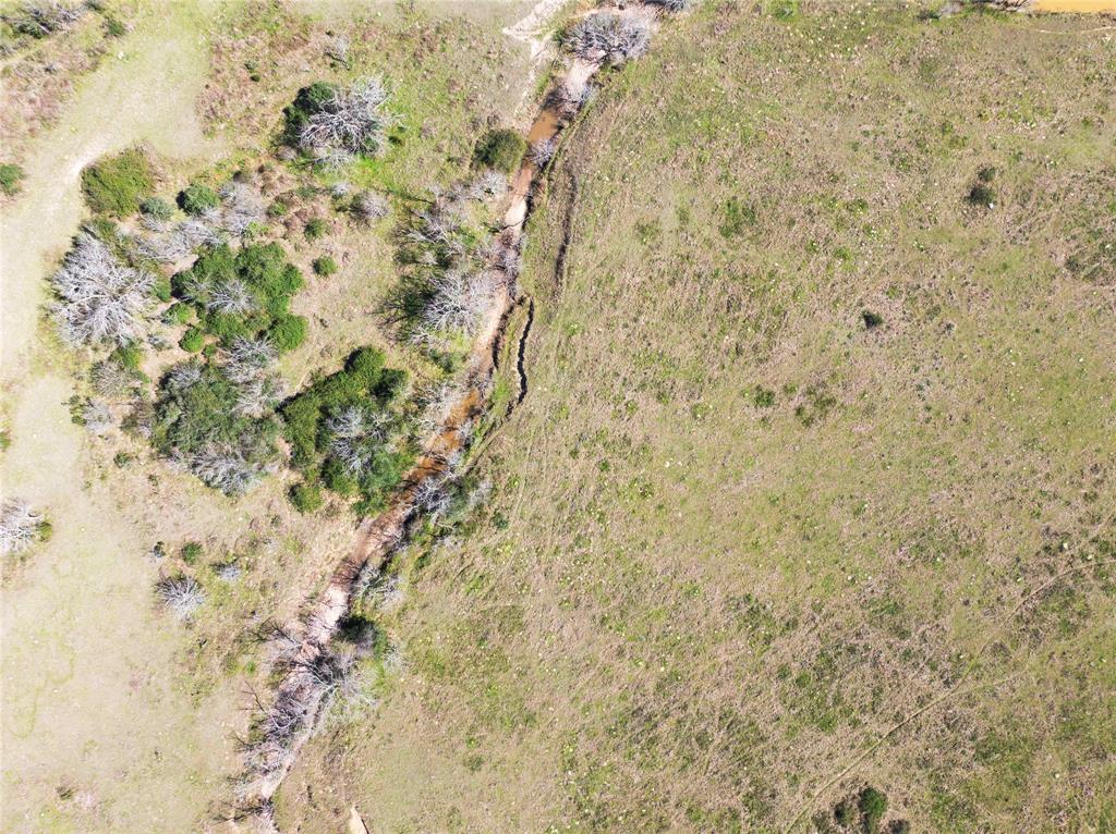 Bernardo Road, Cat Spring, Texas image 16