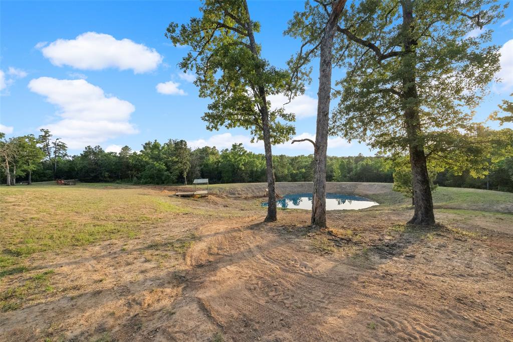 740 Bridget Avenue, Buffalo, Texas image 39