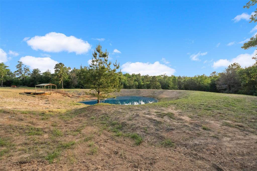 740 Bridget Avenue, Buffalo, Texas image 4