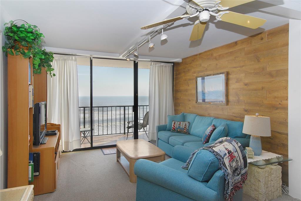 11949 Termini San Luis Pass Road #302, Galveston, Texas image 3