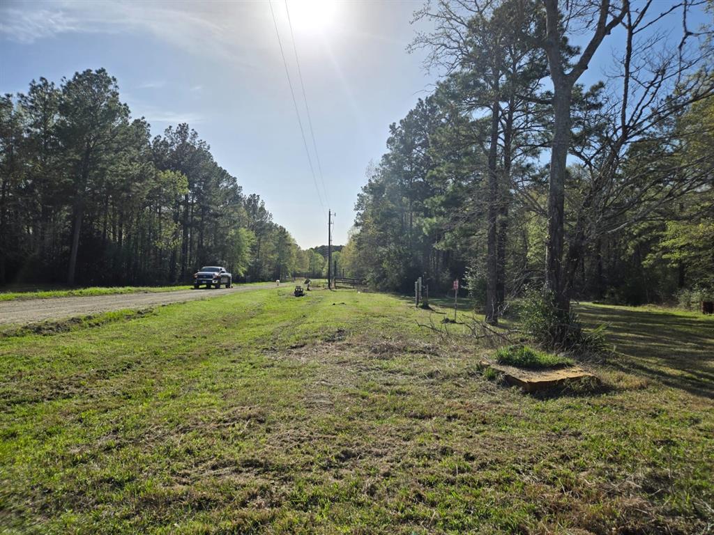 278 Reggie Lane, Trinity, Texas image 7