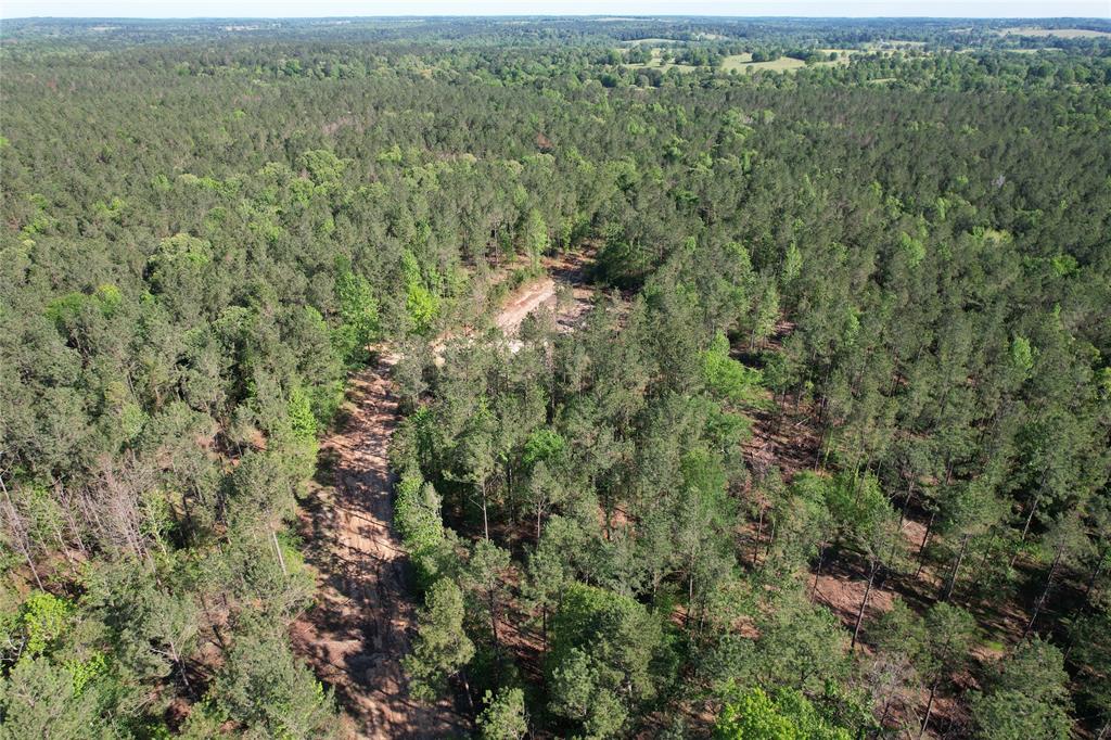 TBD Cr 2155, Crockett, Texas image 6