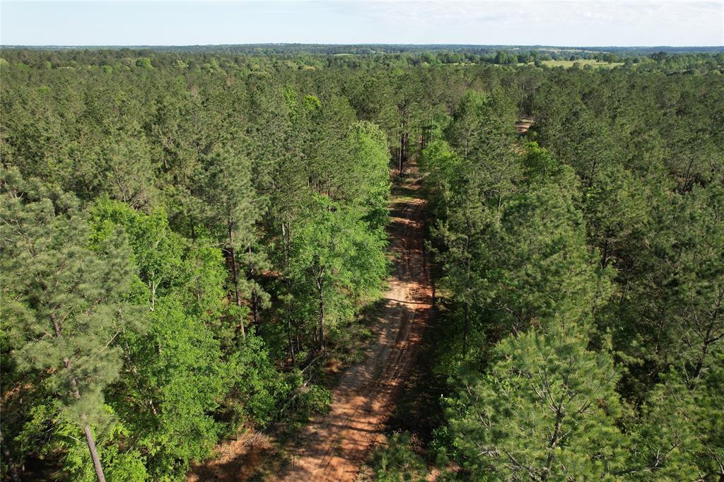 TBD Cr 2155, Crockett, Texas image 9