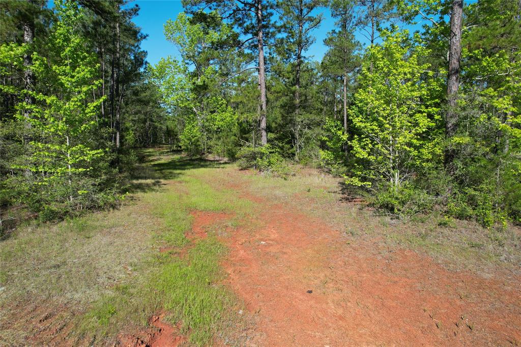 TBD Cr 2155, Crockett, Texas image 27