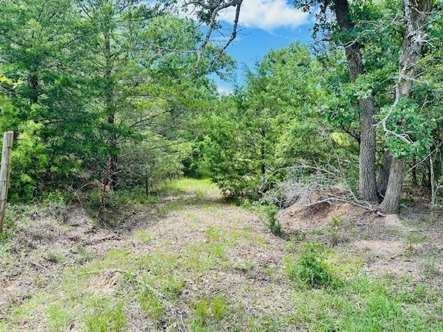 TBD County Road 278, Somerville, Texas image 10