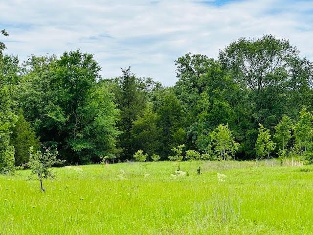 TBD County Road 278, Somerville, Texas image 4