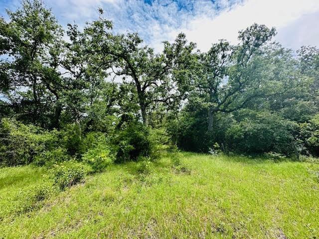 TBD County Road 278, Somerville, Texas image 8
