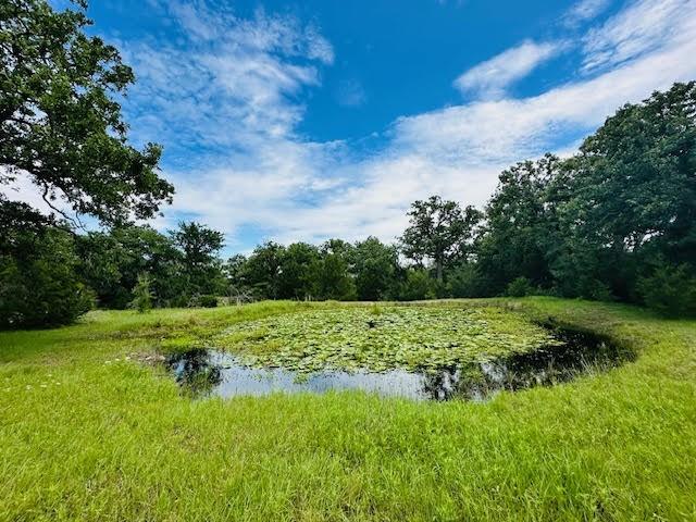 TBD County Road 278, Somerville, Texas image 1