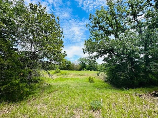 TBD County Road 278, Somerville, Texas image 9