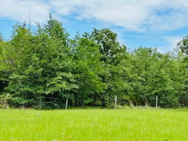 TBD County Road 278, Somerville, Texas image 7