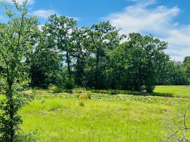 TBD County Road 278, Somerville, Texas image 5