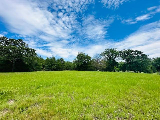 TBD County Road 278, Somerville, Texas image 6