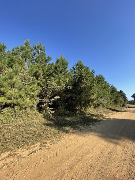 TBD County Road 546 Road, Nacogdoches, Texas image 1