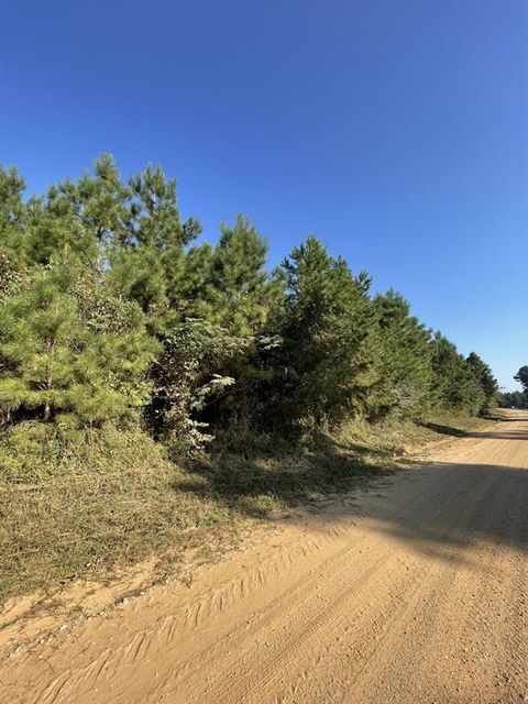 Photo of TBD County Road 546 Road, Nacogdoches, TX 75961 (MLS # 31740996) Photo of TBD County Road 546 Road, Nacogdoches, TX 75961 (MLS # 31740996)