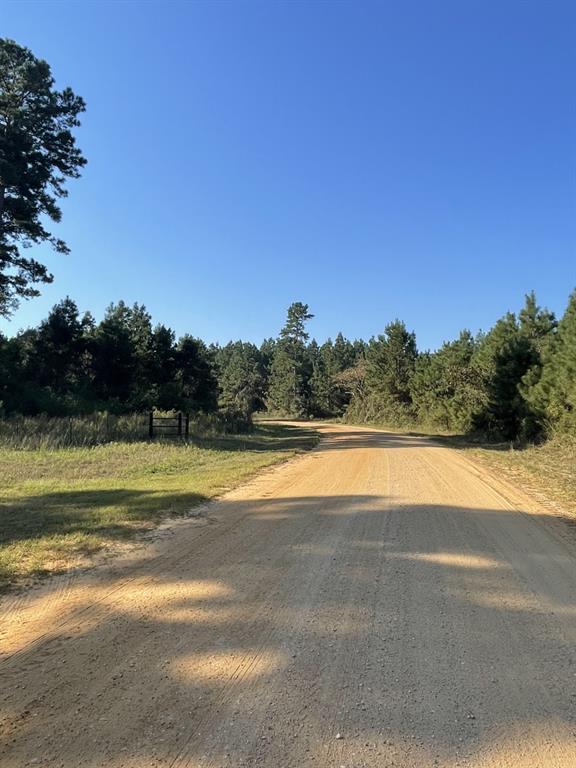 TBD County Road 546 Road, Nacogdoches, Texas image 3