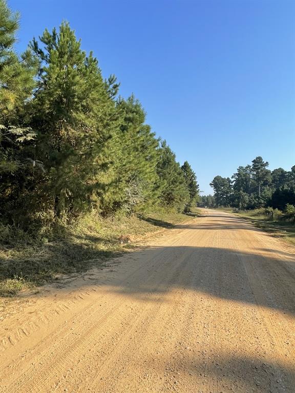 TBD County Road 546 Road, Nacogdoches, Texas image 4