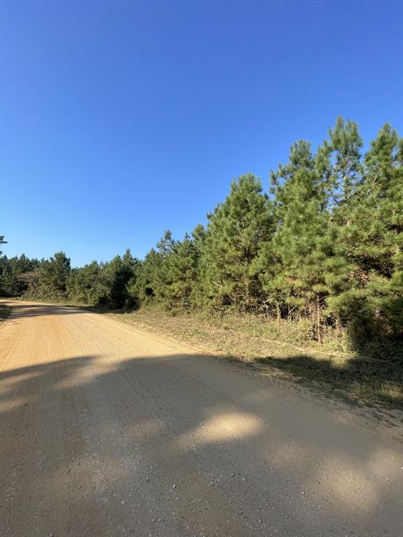 TBD County Road 546 Road, Nacogdoches, Texas image 2