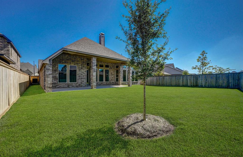 339 Calmato Woods Way, Willis, Texas image 46
