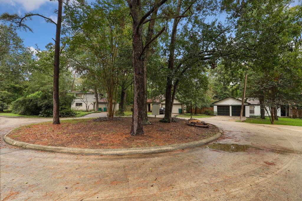 24 E Bigelow Oak Court, Spring, Texas image 22