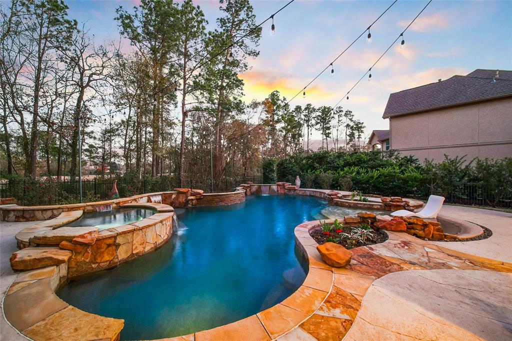 14 Player Pines Court, The Woodlands, Texas image 47