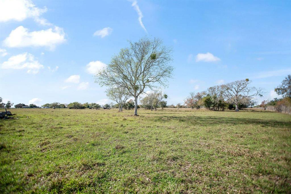 TBD County Road 429, Lolita, Texas image 13