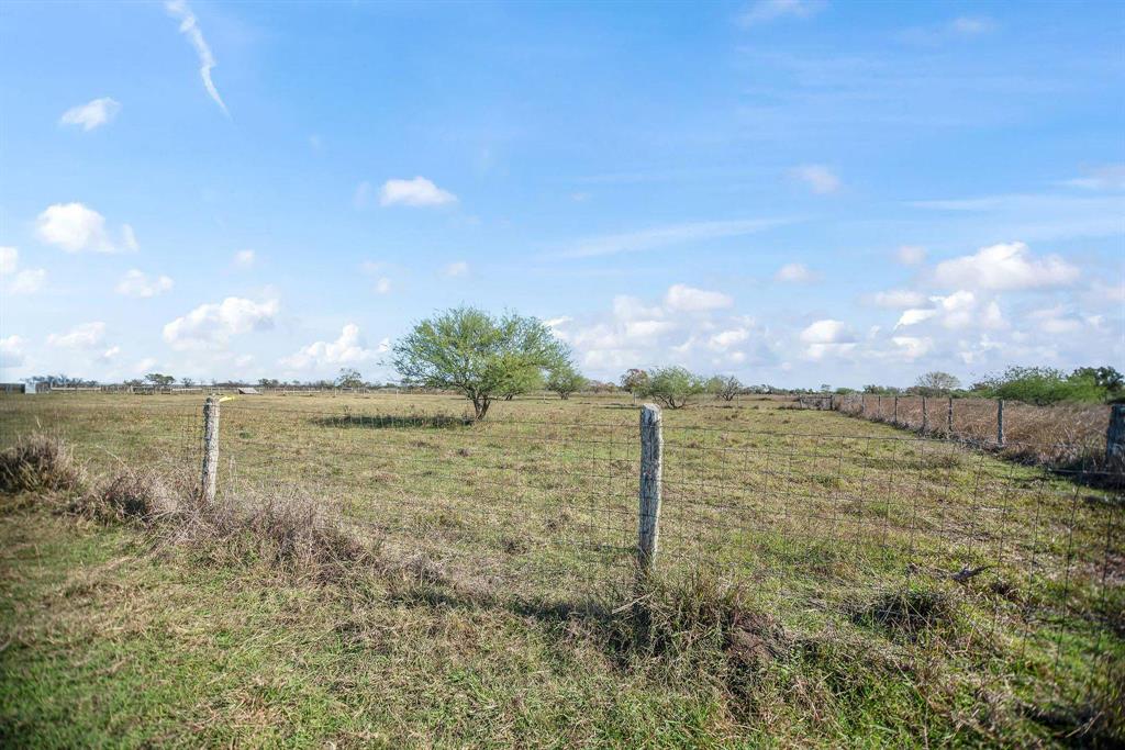 TBD County Road 429, Lolita, Texas image 6