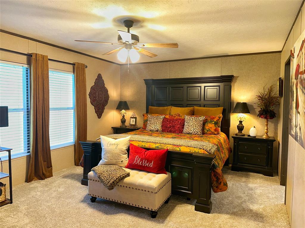 791 Coco Loop, Point Blank, Texas image 10