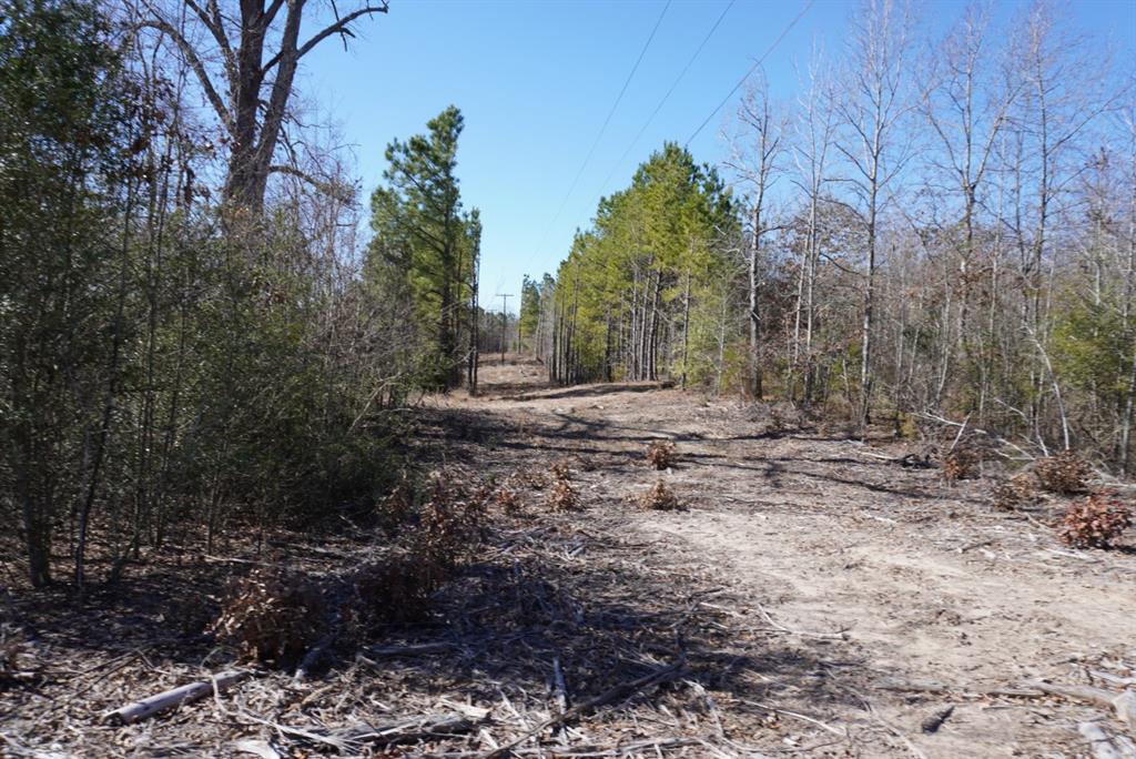 000 County Road 3600, Hawkins, Texas image 32