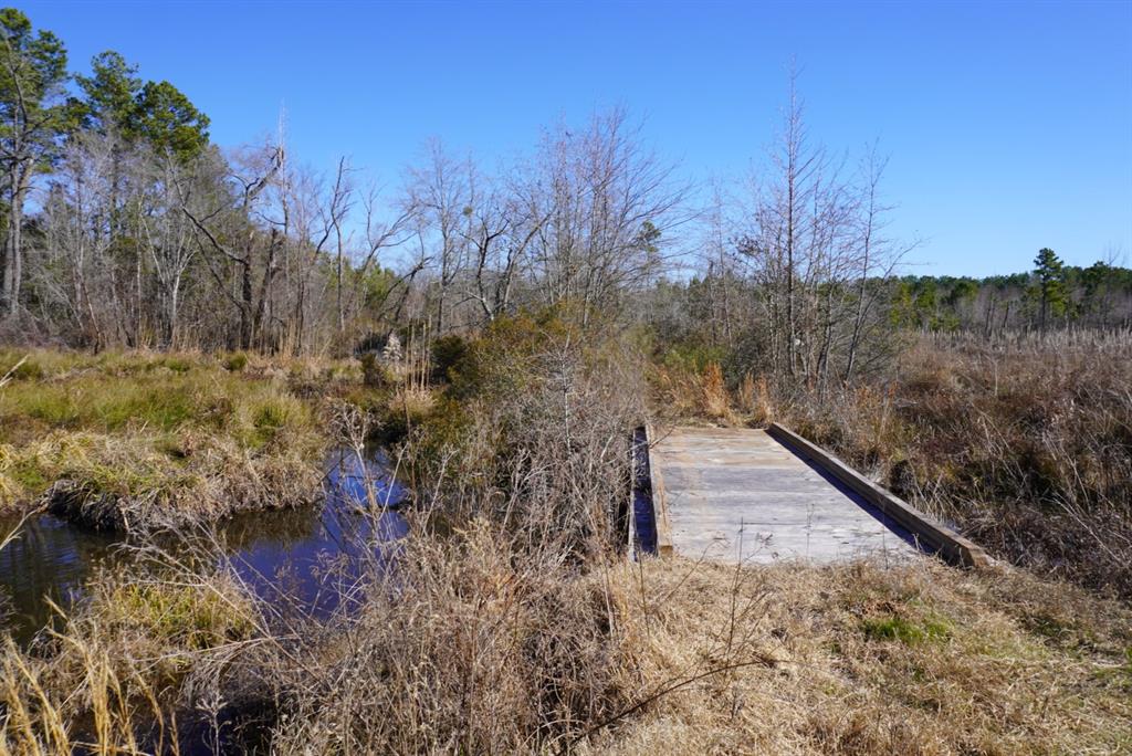 000 County Road 3600, Hawkins, Texas image 11