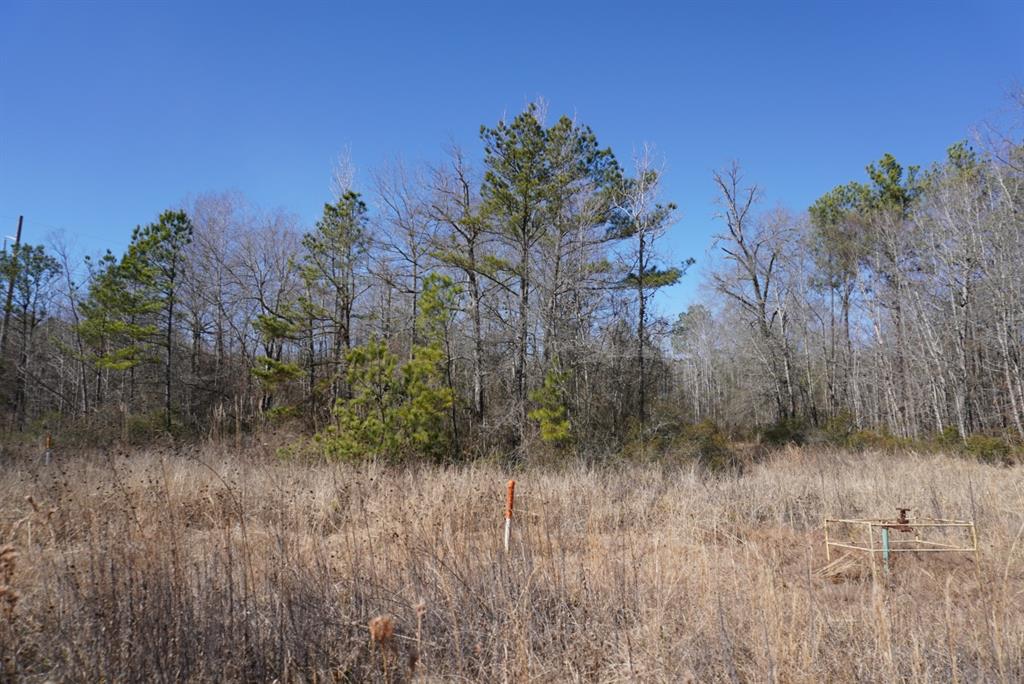 000 County Road 3600, Hawkins, Texas image 37