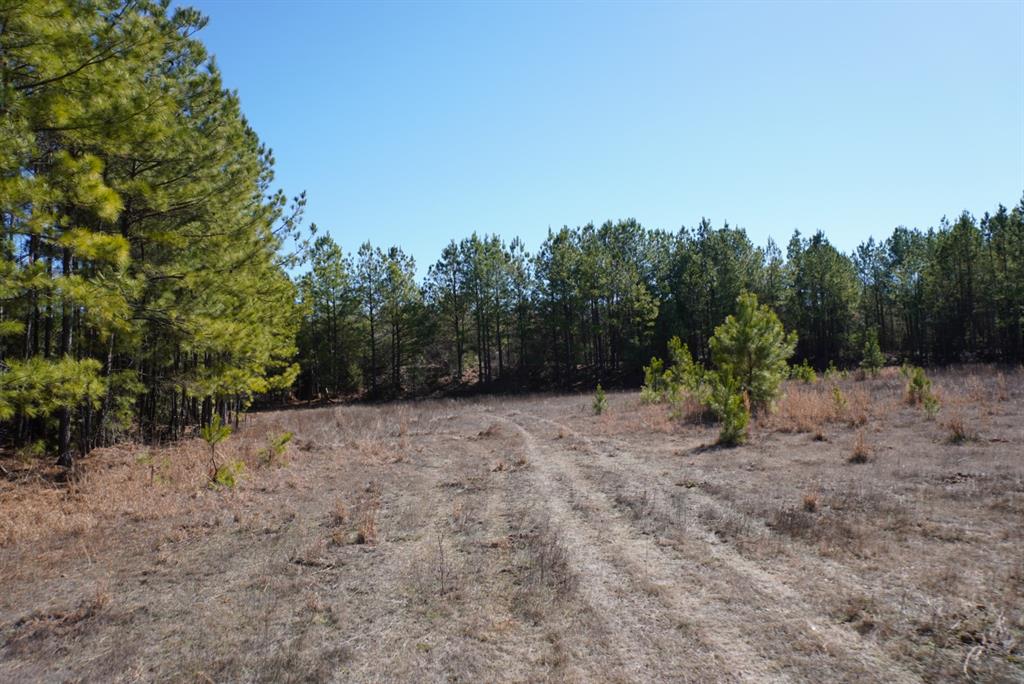 000 County Road 3600, Hawkins, Texas image 16