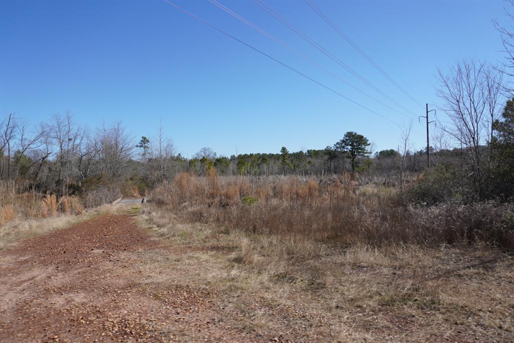 000 County Road 3600, Hawkins, Texas image 9