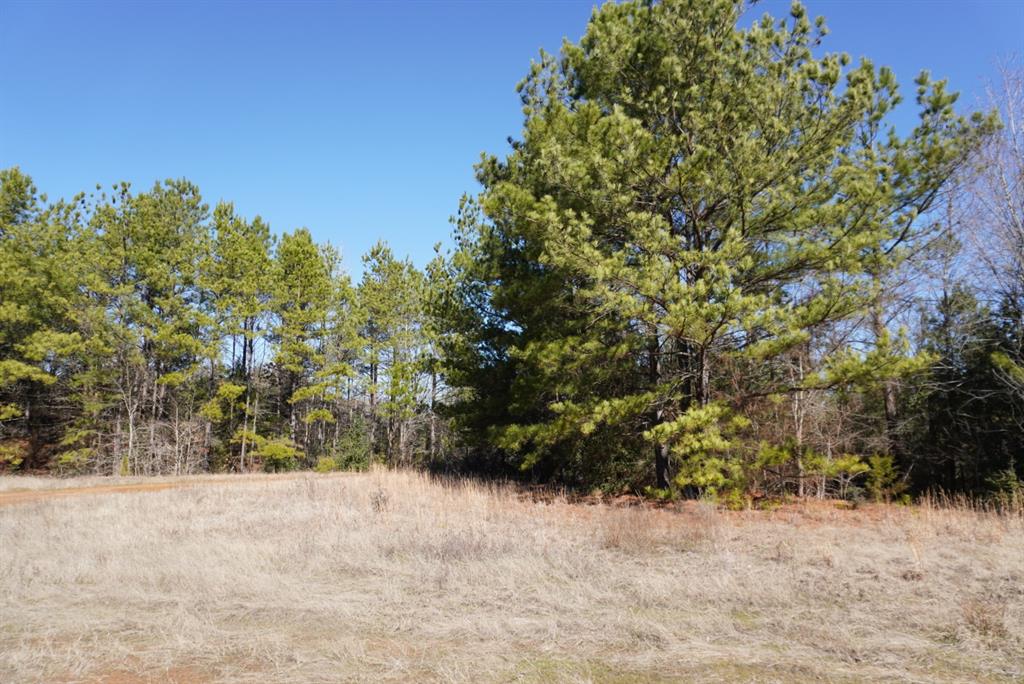 000 County Road 3600, Hawkins, Texas image 29