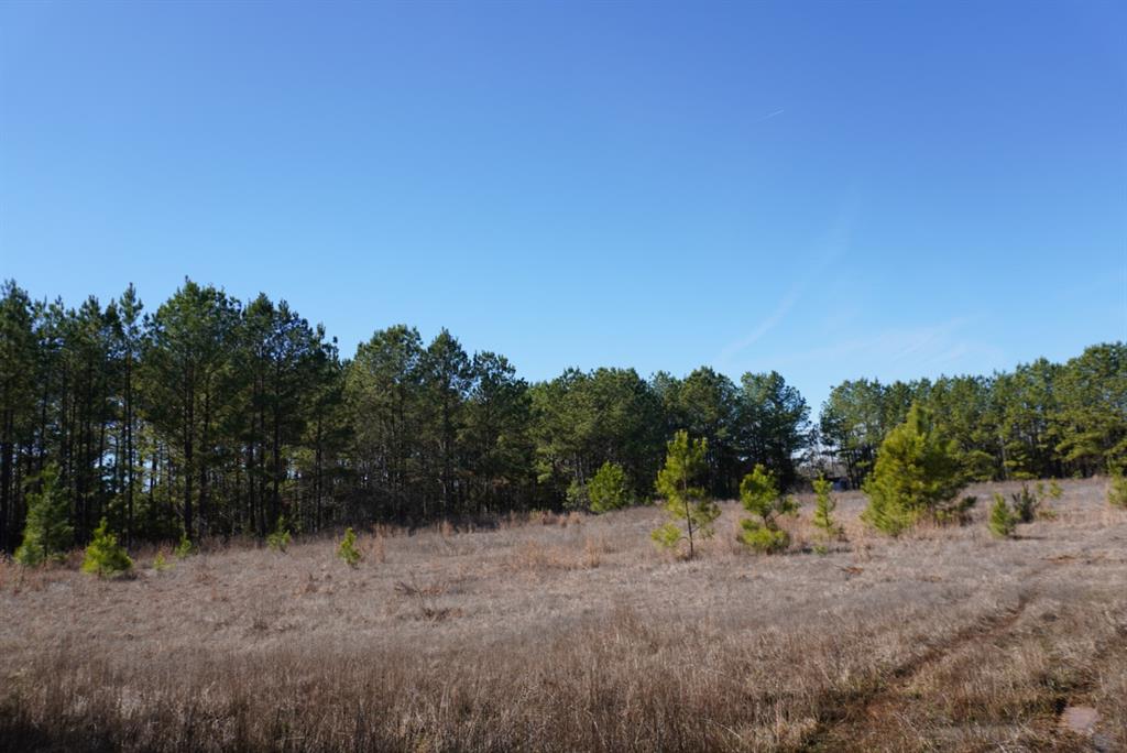 000 County Road 3600, Hawkins, Texas image 17