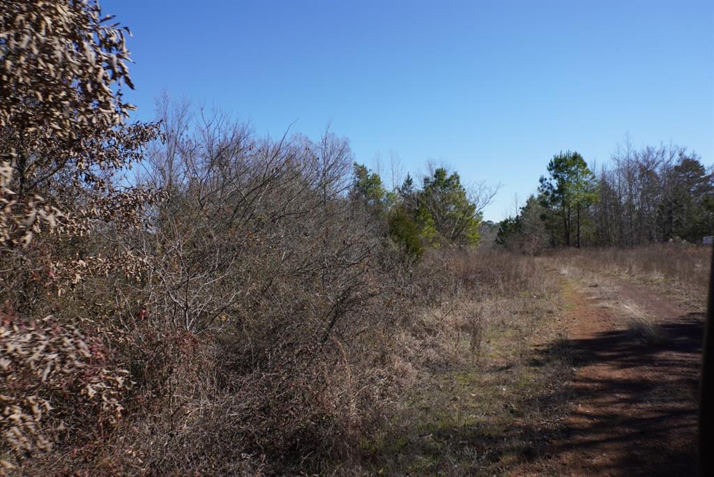 000 County Road 3600, Hawkins, Texas image 4