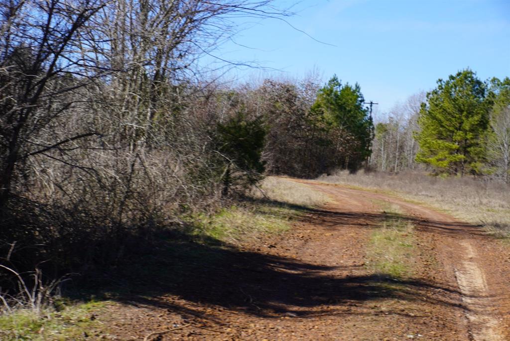 000 County Road 3600, Hawkins, Texas image 30